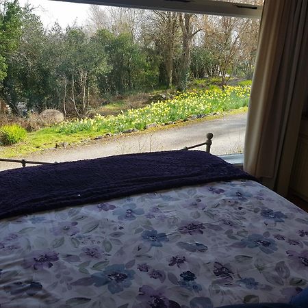 Hollybanks Apartment Moycullen Ruang foto